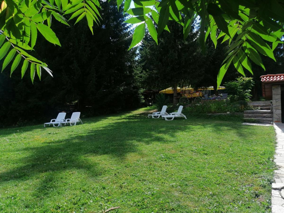 Утро Без Аларма, Смолянски Езера. Alarm Free Morning Smolyan Lakes Luaran gambar