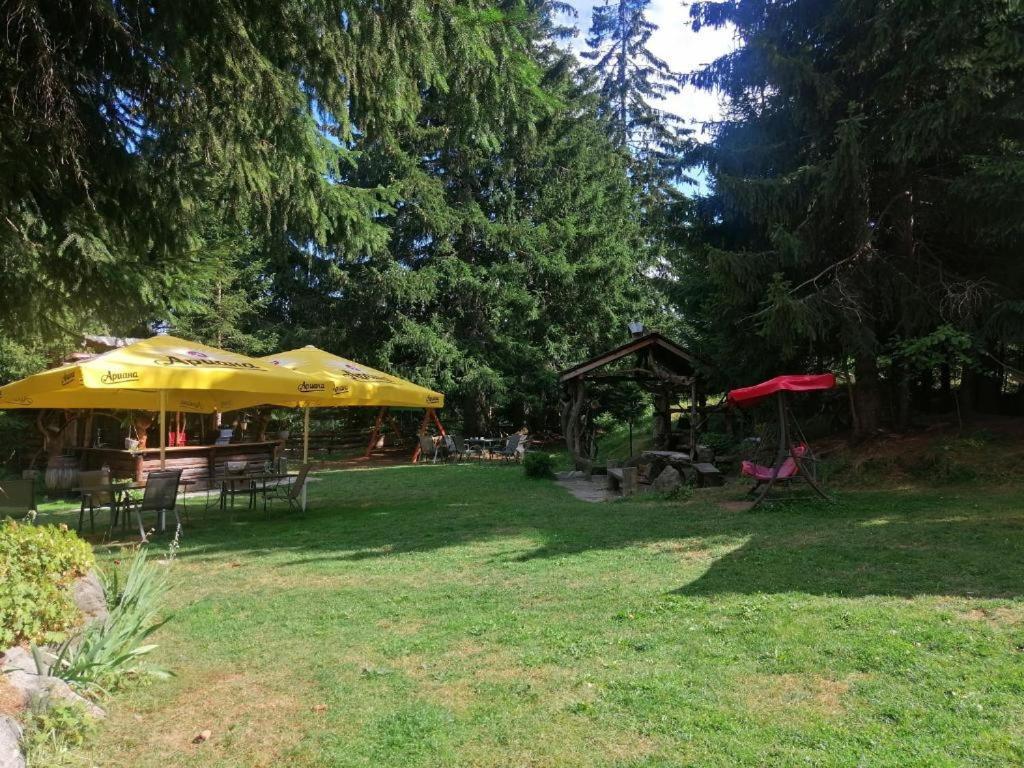 Утро Без Аларма, Смолянски Езера. Alarm Free Morning Smolyan Lakes Luaran gambar